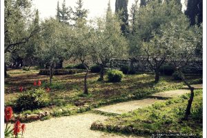 Gethsemene: oil press